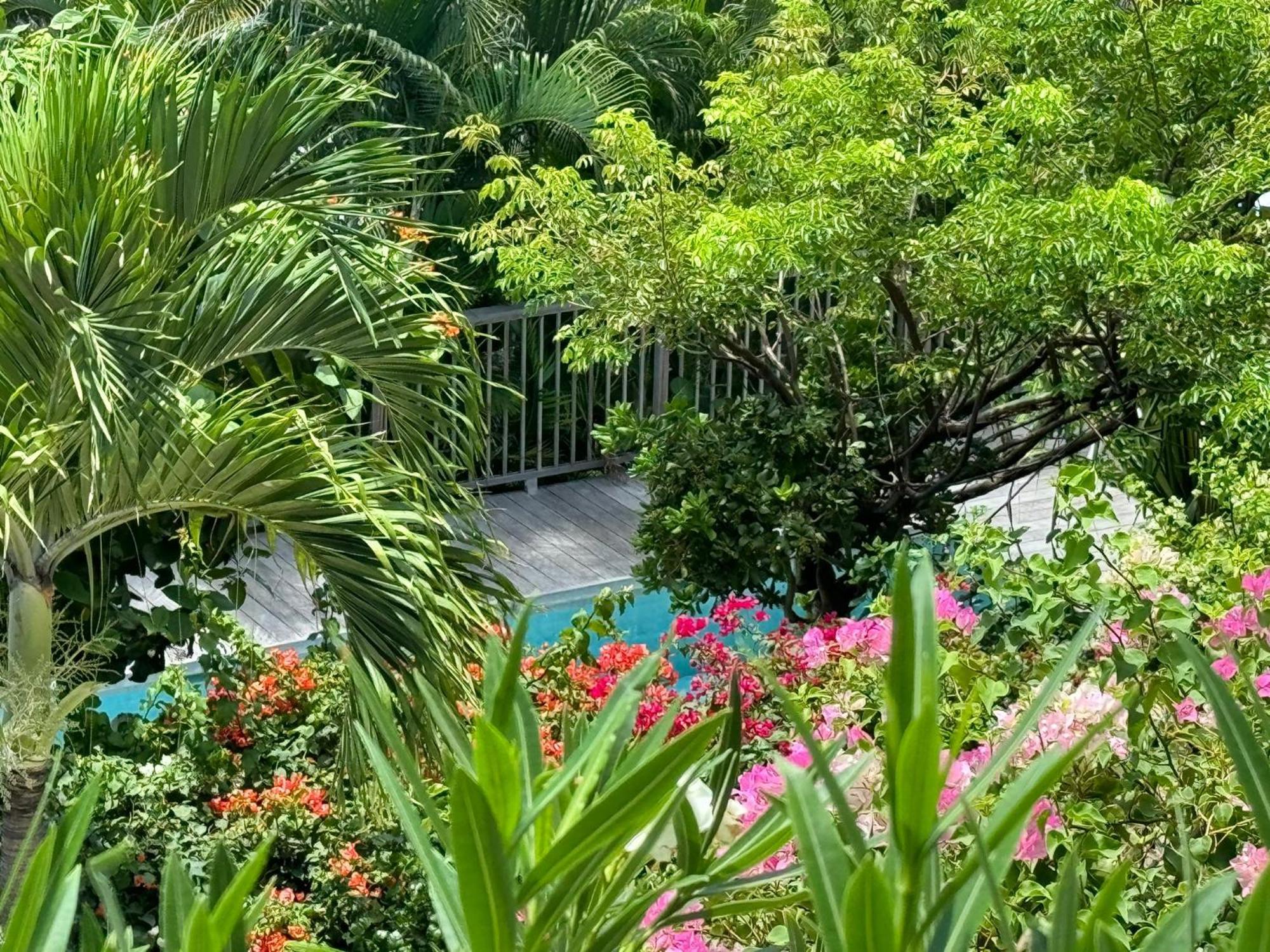 Les Ilets De La Plage غوستافي المظهر الخارجي الصورة